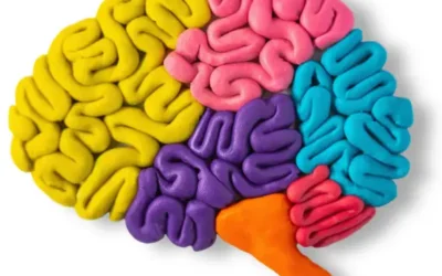 Les vacances sont-elles vraiment bénéfiques pour le cerveau ?